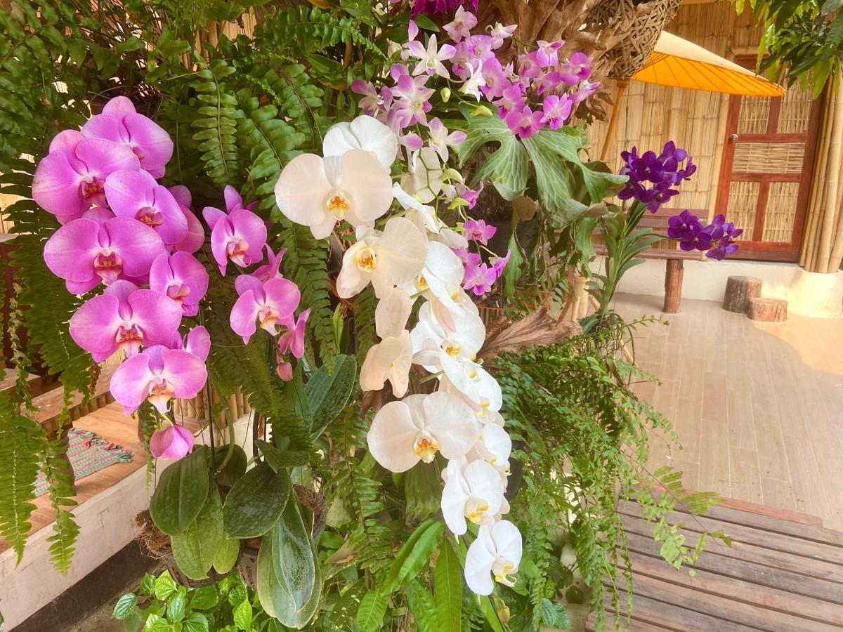 Ban Rai Jai Chaem - Spa Cafe & Homestay المظهر الخارجي الصورة